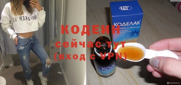 спиды Богданович