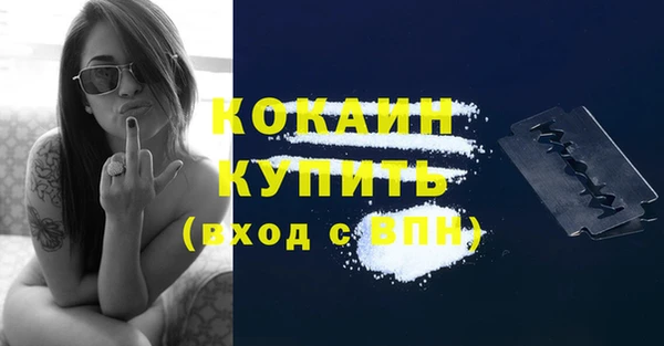 стаф Богородицк