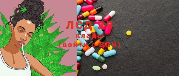 стаф Богородицк