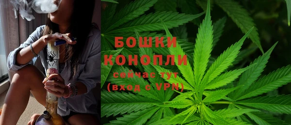соль курить ск Белокуриха