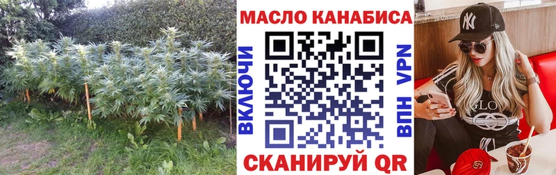 ТГК вейп  mega ссылка  Циолковский  магазин продажи  