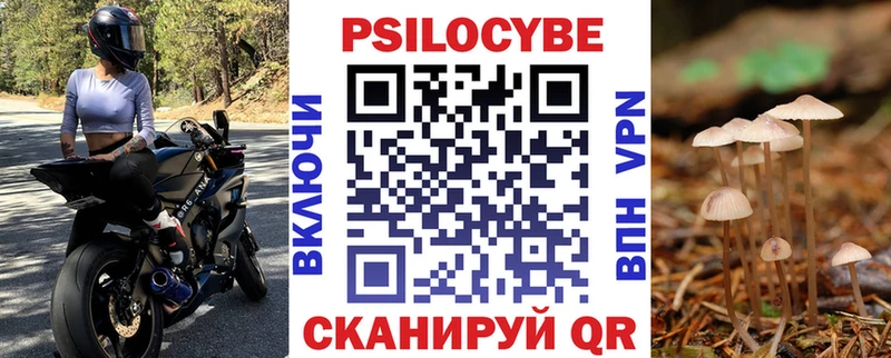 где продают наркотики  Циолковский  Псилоцибиновые грибы прущие грибы 